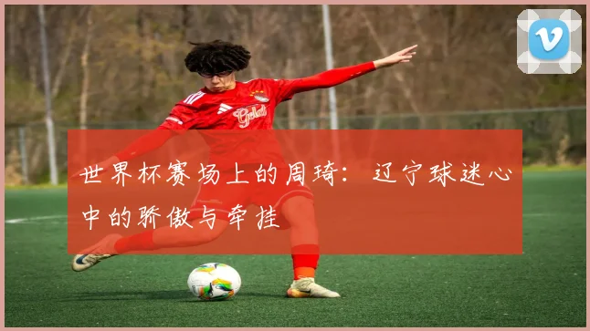 世界杯赛场上的周琦：辽宁球迷心中的骄傲与牵挂