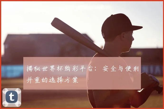 揭秘世界杯购彩平台：安全与便利并重的选择方案