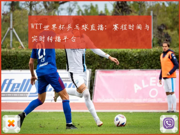 WTT世界杯乒乓球直播：赛程时间与实时转播平台