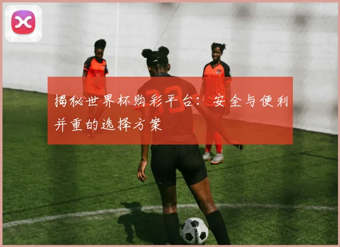 揭秘世界杯购彩平台：安全与便利并重的选择方案