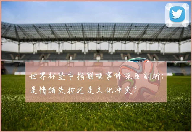 世界杯竖中指割喉事件深度剖析：是情绪失控还是文化冲突？