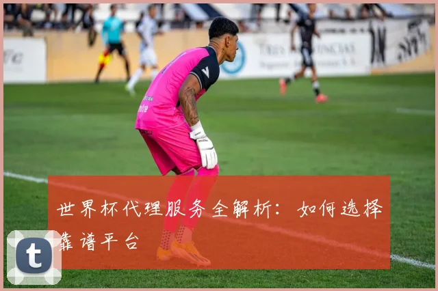 世界杯代理服务全解析：如何选择靠谱平台