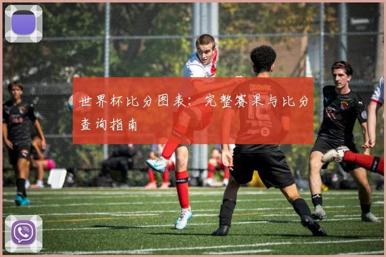 世界杯比分图表：完整赛果与比分查询指南