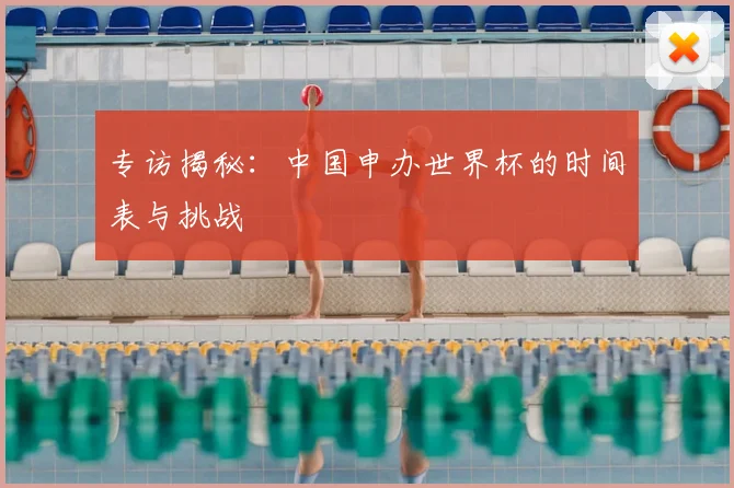 专访揭秘：中国申办世界杯的时间表与挑战