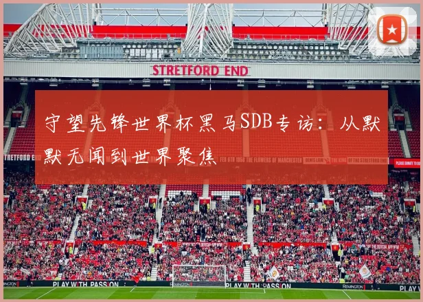 守望先锋世界杯黑马SDB专访：从默默无闻到世界聚焦