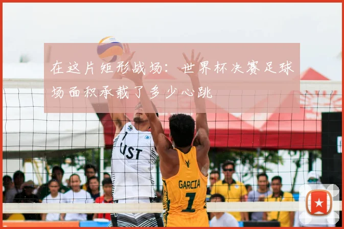 在这片矩形战场:世界杯决赛足球场面积承载了多少心跳
