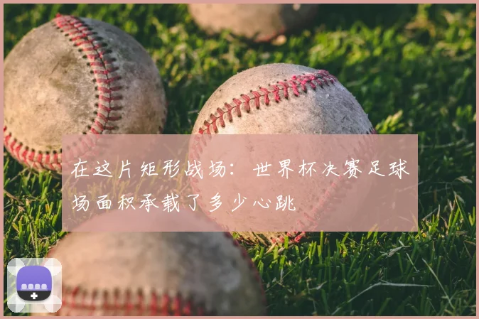 在这片矩形战场：世界杯决赛足球场面积承载了多少心跳