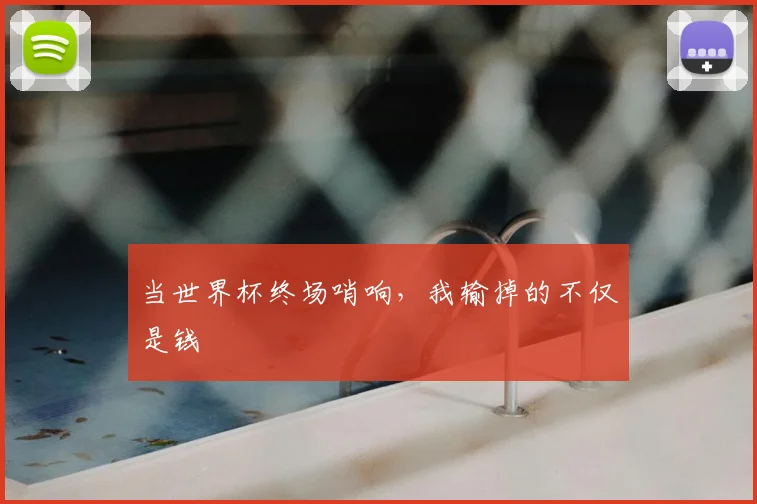 当世界杯终场哨响，我输掉的不仅是钱