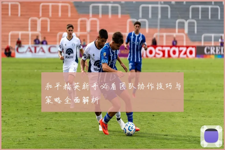 和平精英新手必看团队协作技巧与策略全面解析
