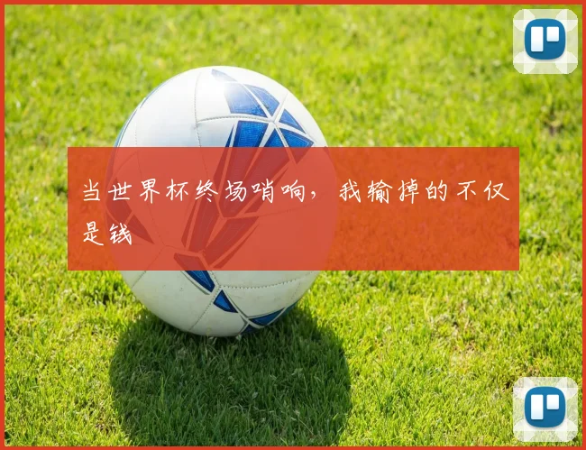 当世界杯终场哨响，我输掉的不仅是钱
