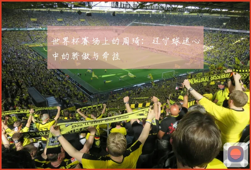 世界杯赛场上的周琦：辽宁球迷心中的骄傲与牵挂