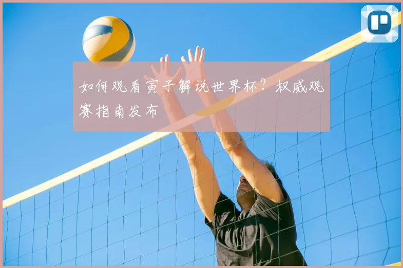 如何观看寅子解说世界杯?权威观赛指南发布