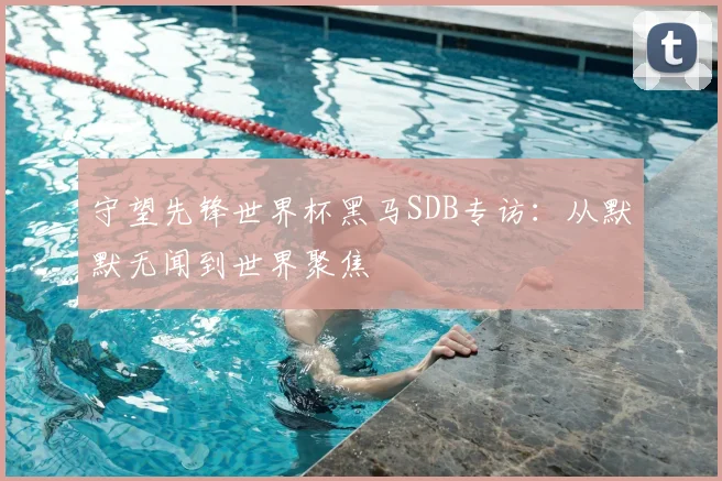 守望先锋世界杯黑马SDB专访：从默默无闻到世界聚焦